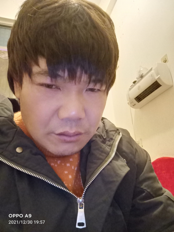 小鸟找窝的第二张照片--南平婚介网